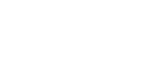 Logo Emerce 100 2020 wit